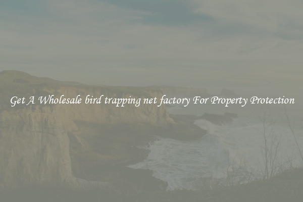 Get A Wholesale bird trapping net factory For Property Protection