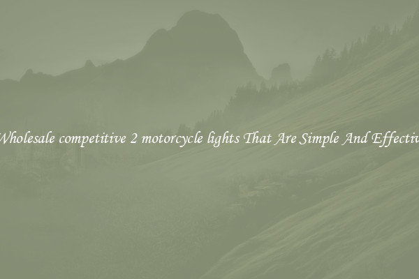 Wholesale competitive 2 motorcycle lights That Are Simple And Effective