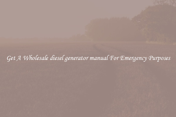 Get A Wholesale diesel generator manual For Emergency Purposes
