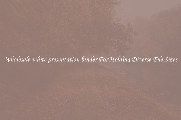Wholesale white presentation binder For Holding Diverse File Sizes