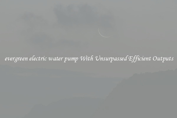 evergreen electric water pump With Unsurpassed Efficient Outputs