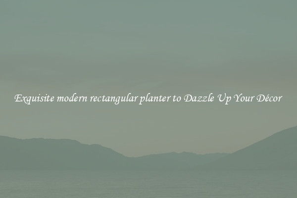 Exquisite modern rectangular planter to Dazzle Up Your Décor 