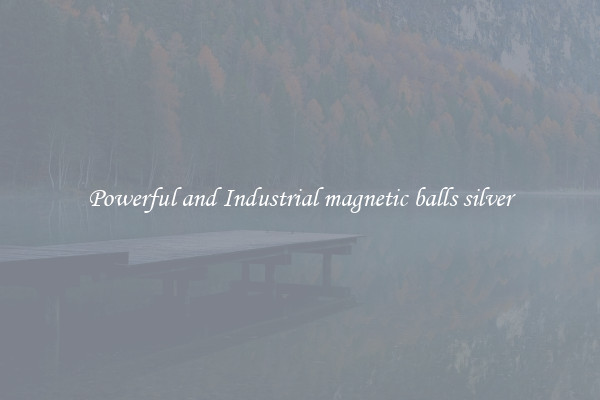 Powerful and Industrial magnetic balls silver