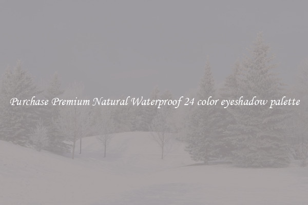 Purchase Premium Natural Waterproof 24 color eyeshadow palette