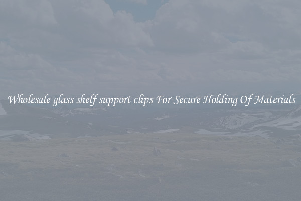 Wholesale glass shelf support clips For Secure Holding Of Materials