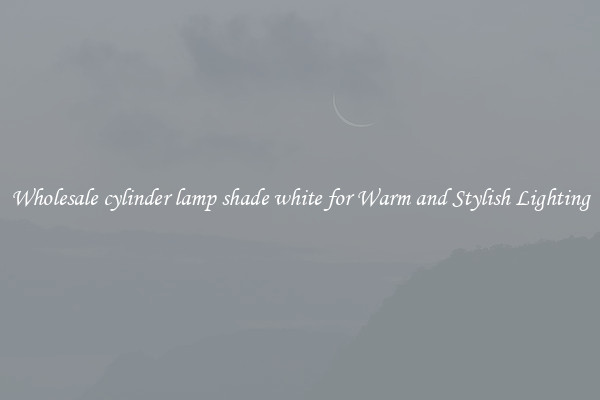 Wholesale cylinder lamp shade white for Warm and Stylish Lighting