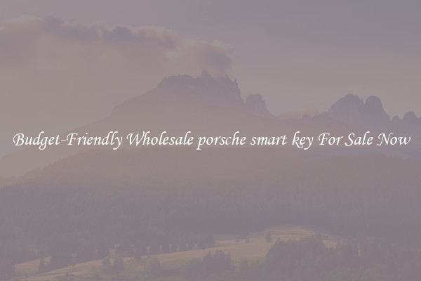 Budget-Friendly Wholesale porsche smart key For Sale Now