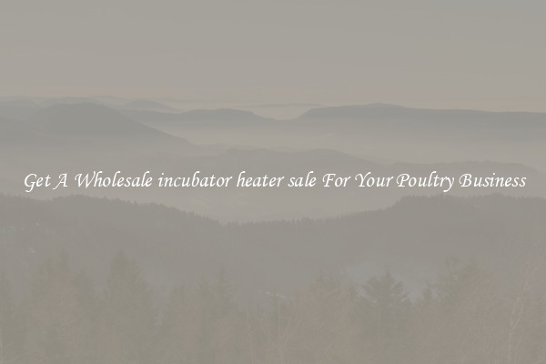 Get A Wholesale incubator heater sale For Your Poultry Business