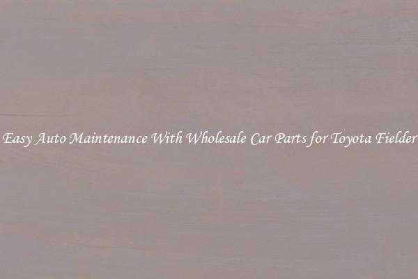 Easy Auto Maintenance With Wholesale Car Parts for Toyota Fielder