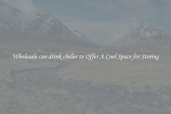 Wholesale can drink chiller to Offer A Cool Space for Storing