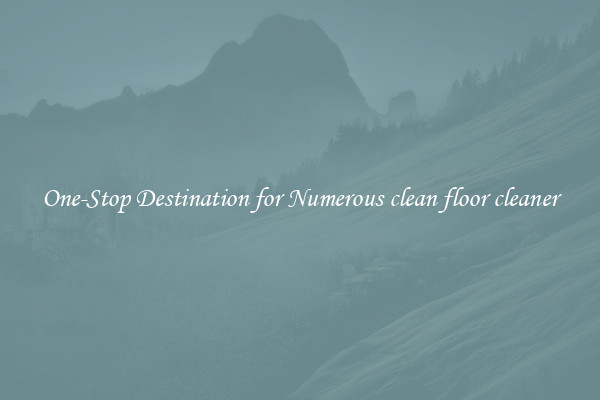 One-Stop Destination for Numerous clean floor cleaner