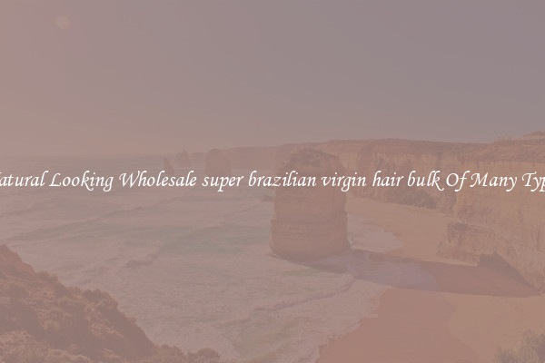 Natural Looking Wholesale super brazilian virgin hair bulk Of Many Types