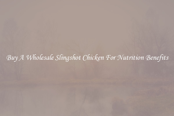 Buy A Wholesale Slingshot Chicken For Nutrition Benefits