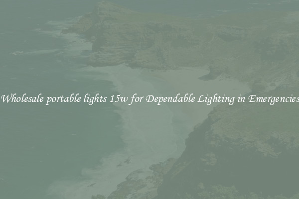 Wholesale portable lights 15w for Dependable Lighting in Emergencies