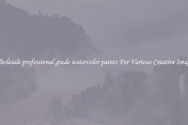 Wholesale professional grade watercolor paints For Various Creative Images