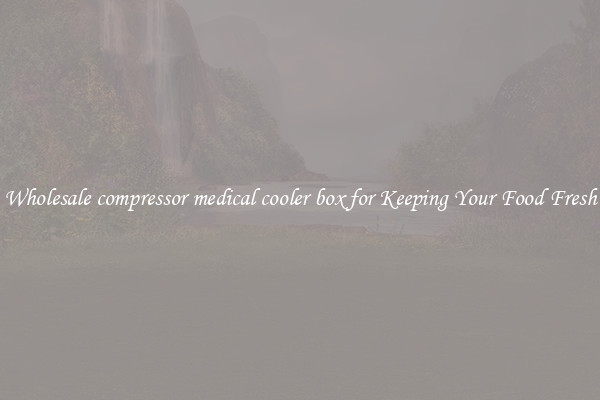 Wholesale compressor medical cooler box for Keeping Your Food Fresh