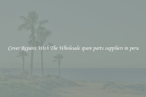  Cover Repairs With The Wholesale spare parts suppliers in peru 