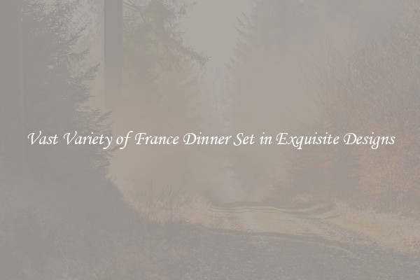 Vast Variety of France Dinner Set in Exquisite Designs