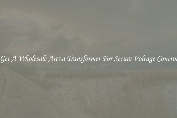 Get A Wholesale Areva Transformer For Secure Voltage Control