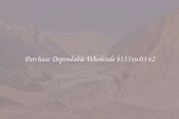 Purchase Dependable Wholesale b133xw03 v2