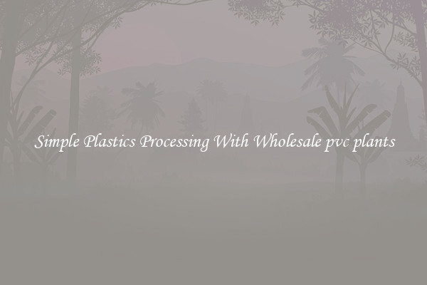 Simple Plastics Processing With Wholesale pvc plants