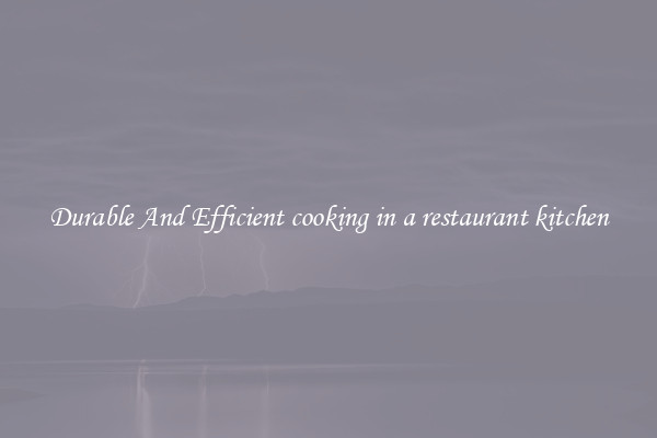 Durable And Efficient cooking in a restaurant kitchen