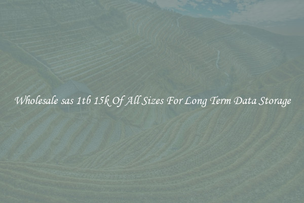 Wholesale sas 1tb 15k Of All Sizes For Long Term Data Storage