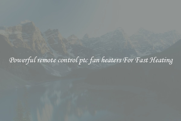 Powerful remote control ptc fan heaters For Fast Heating